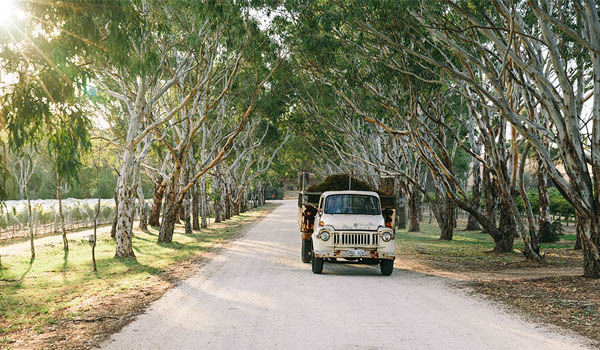 Peter Lehmann Winery Barossa Valley