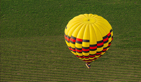 Barossa Valley Wine Region