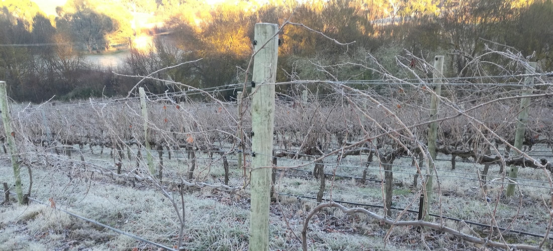 Frost at Bendbrook