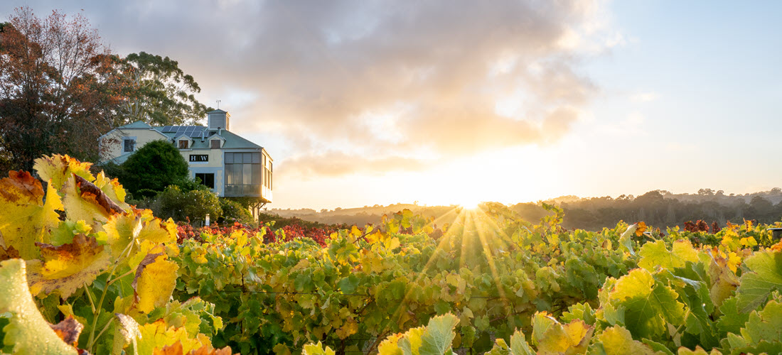 Hahndorf Hill Cellar Door