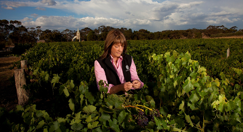 Henschke | Halliday Wine Companion