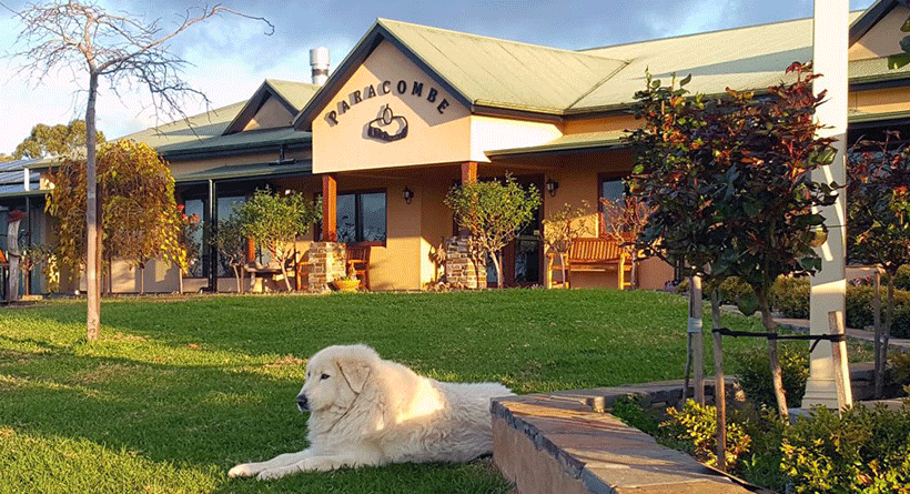 Paracombe Wines Cellar Door