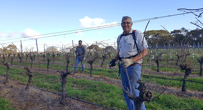 Paracombe Wines Winemakers