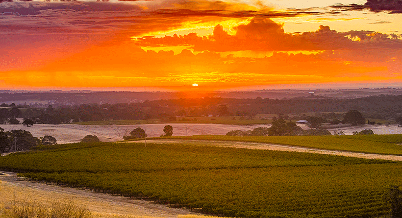 Schild Estate Sunset