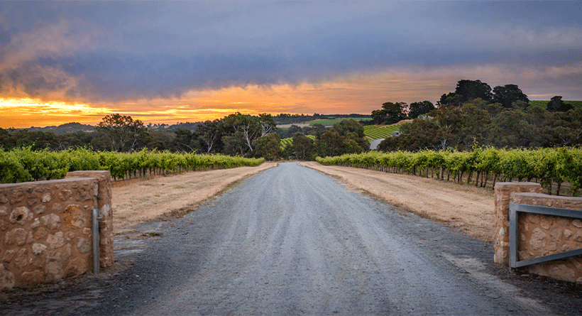 Shottesbrooke Winery Entrance