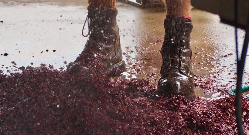 Spinifex Winemaking