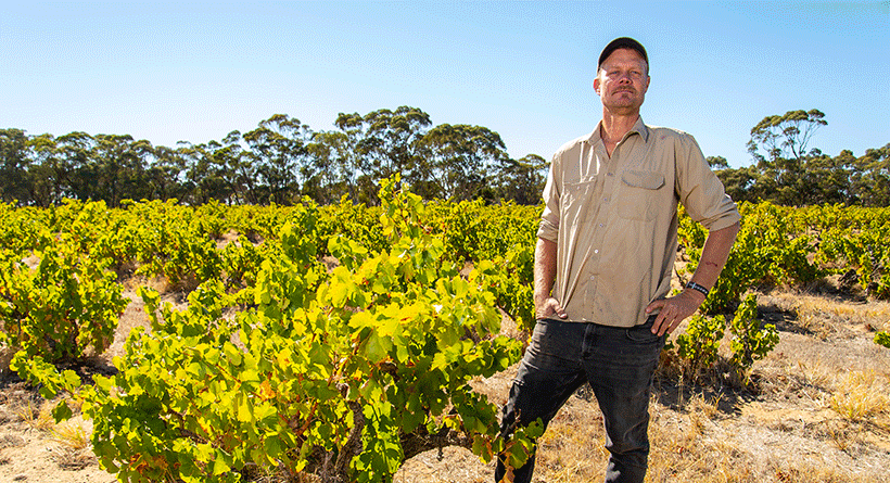 Spinifex Winemaker