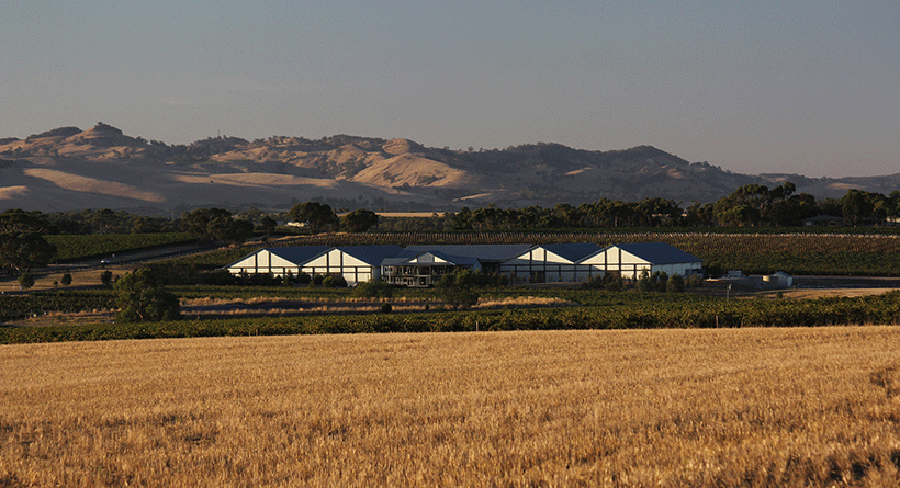 Torbreck Fields