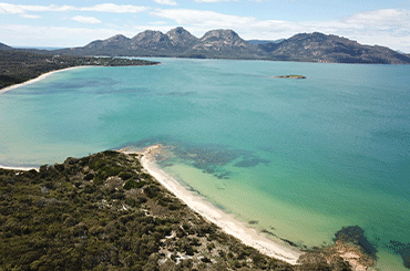 Freycinet Vineyard