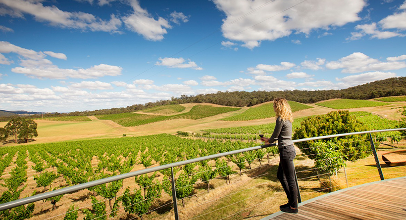 Dalwhinnie estate and vineyard