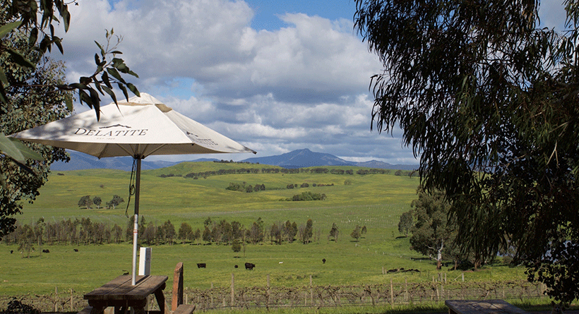 Delatite Cellar Door