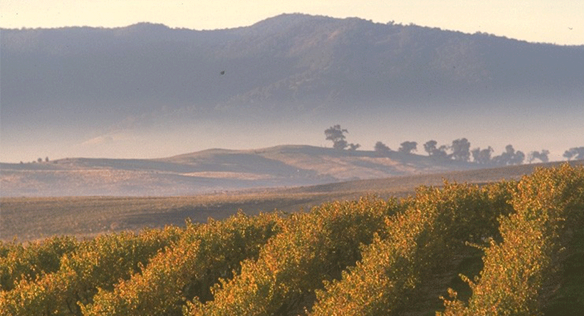 Delatite View to Mountains