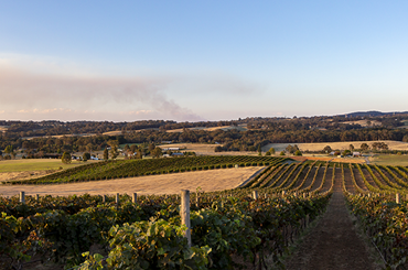 Fighting Gully Road