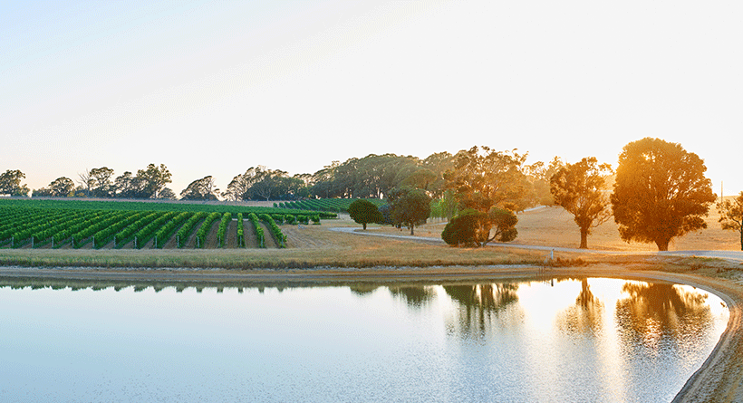 Fowles Wine Dam