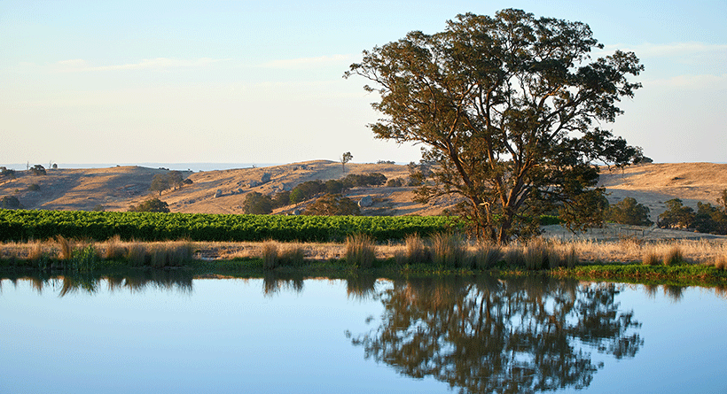 Fowles Wine Dam