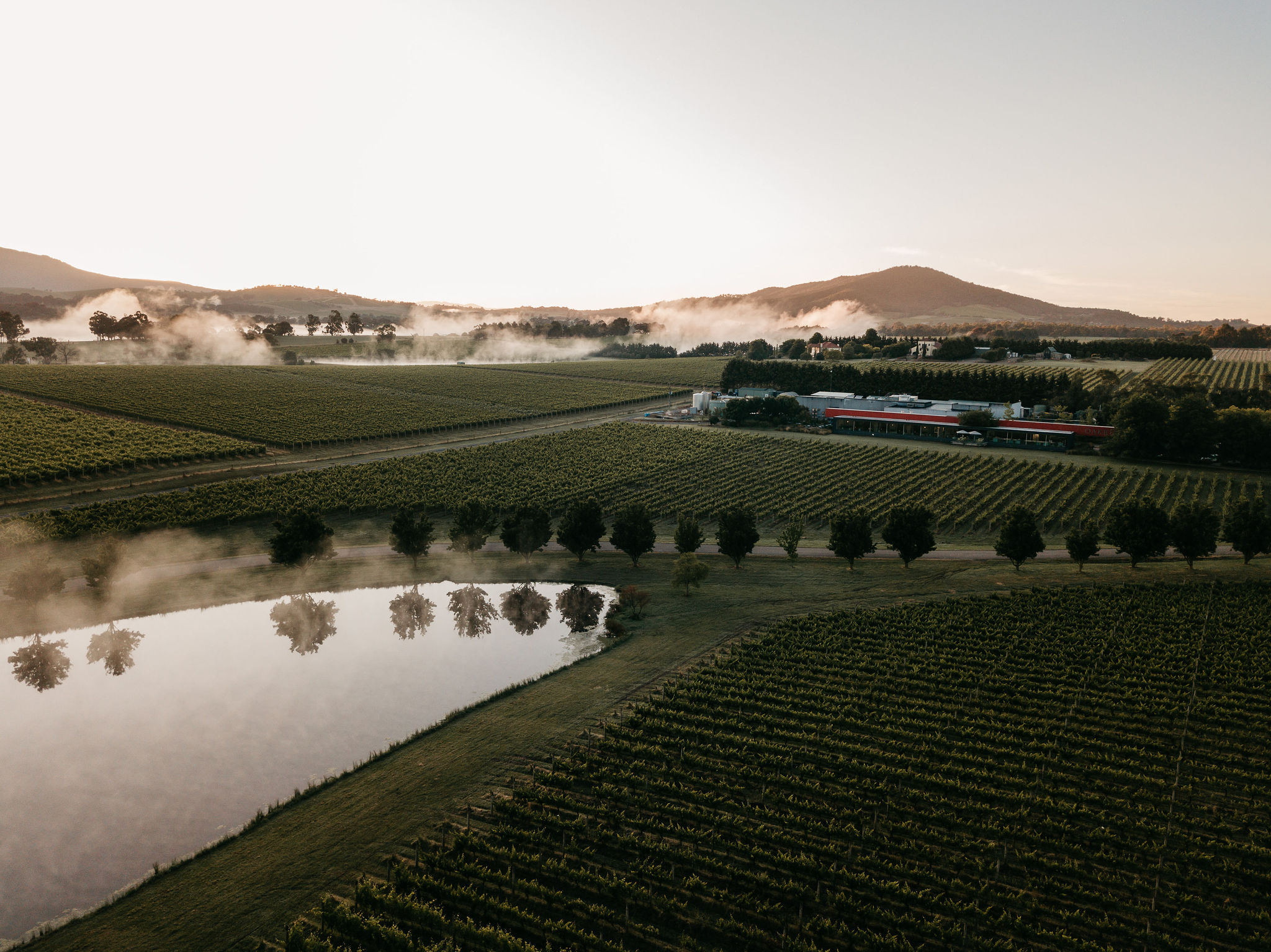 Lake in Oakridge vineyards