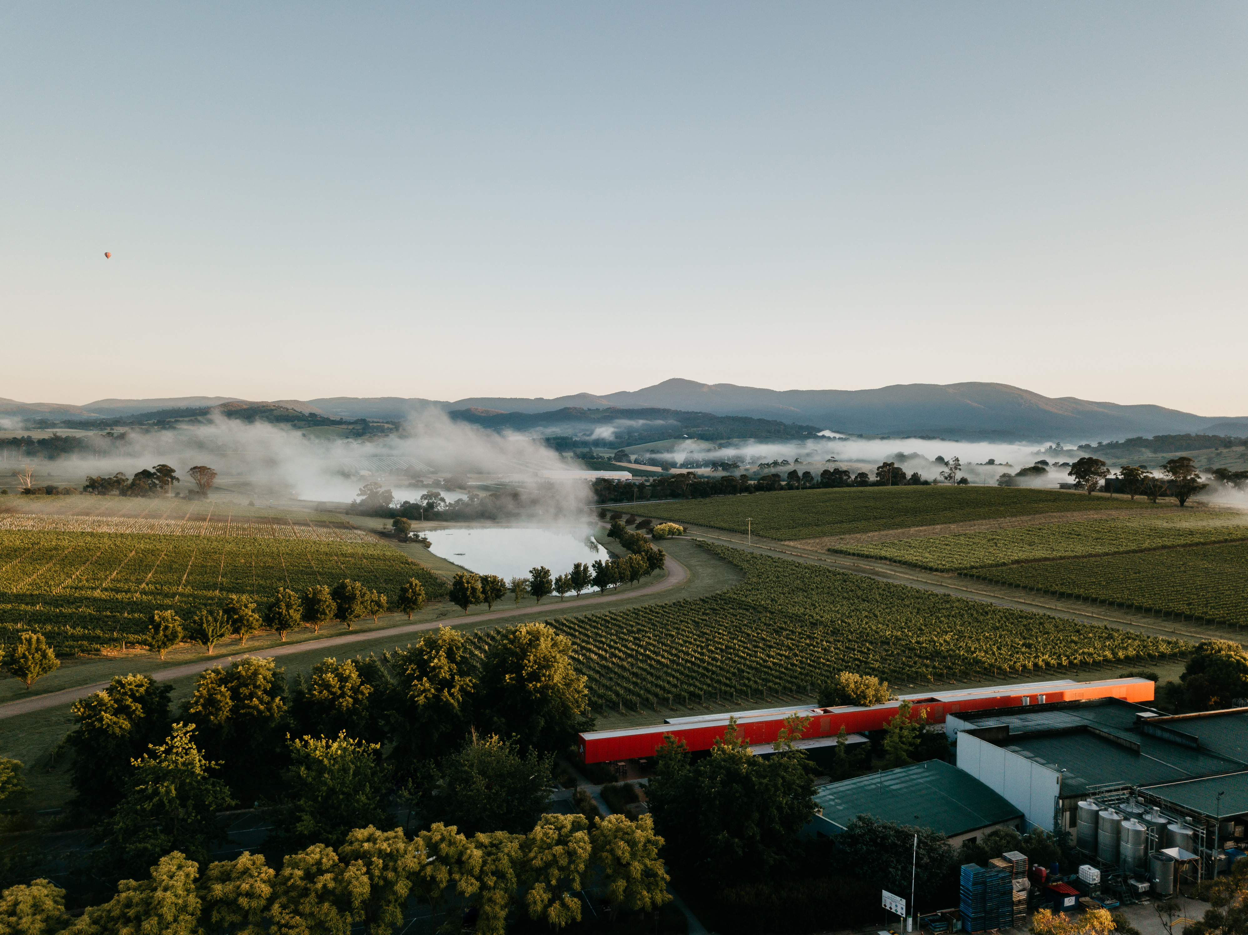 Drone shot of Oakridge vineyards