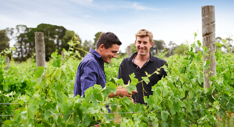 Shadowfax Winemakers