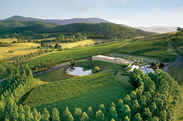 TarraWarra Estate