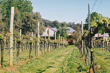 Sorrenberg