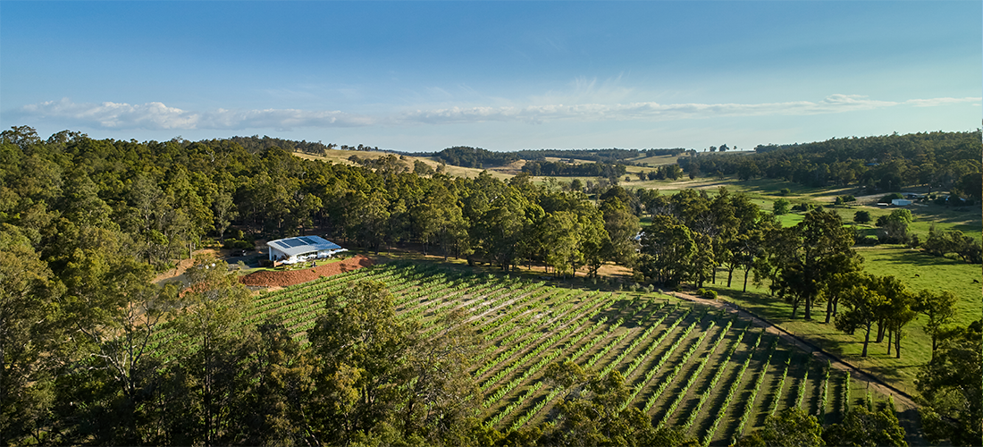 Birds eye view of Coughlan Estate