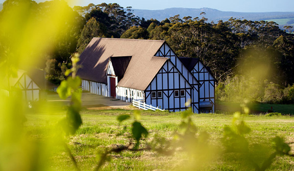 The inviting cellar door at Castelli Estate