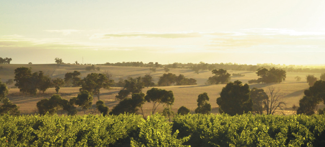 Trevelen Farm at sunrise