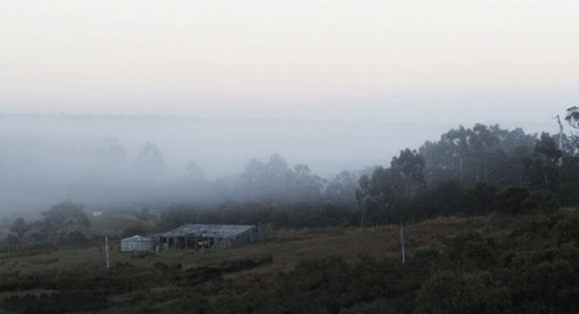 Xabregas Misty Vineyard